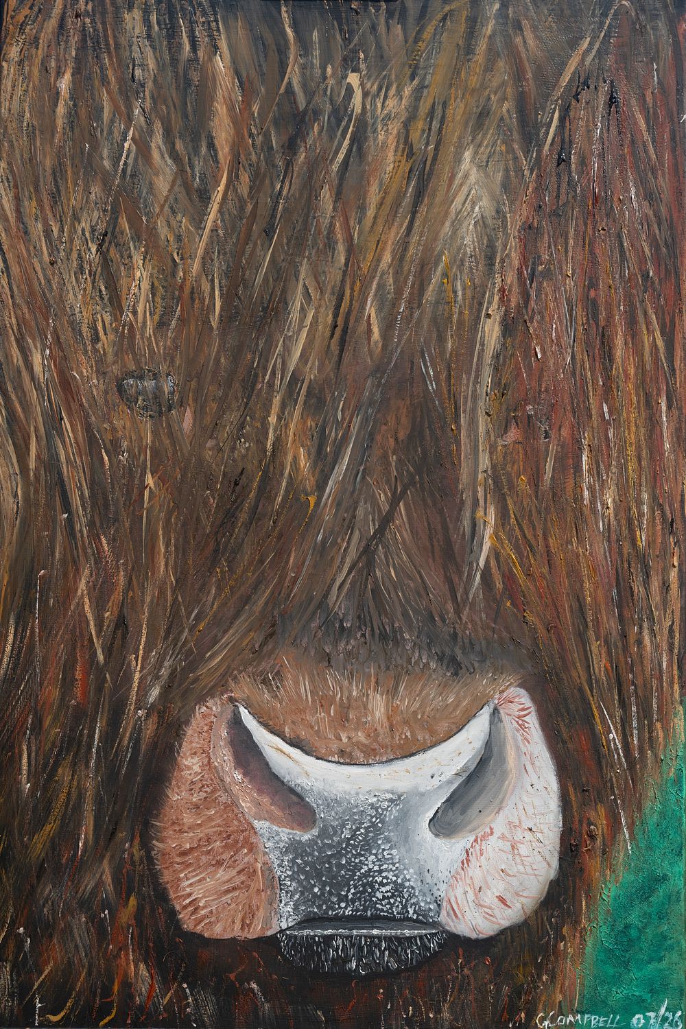 Shaggy Gaze