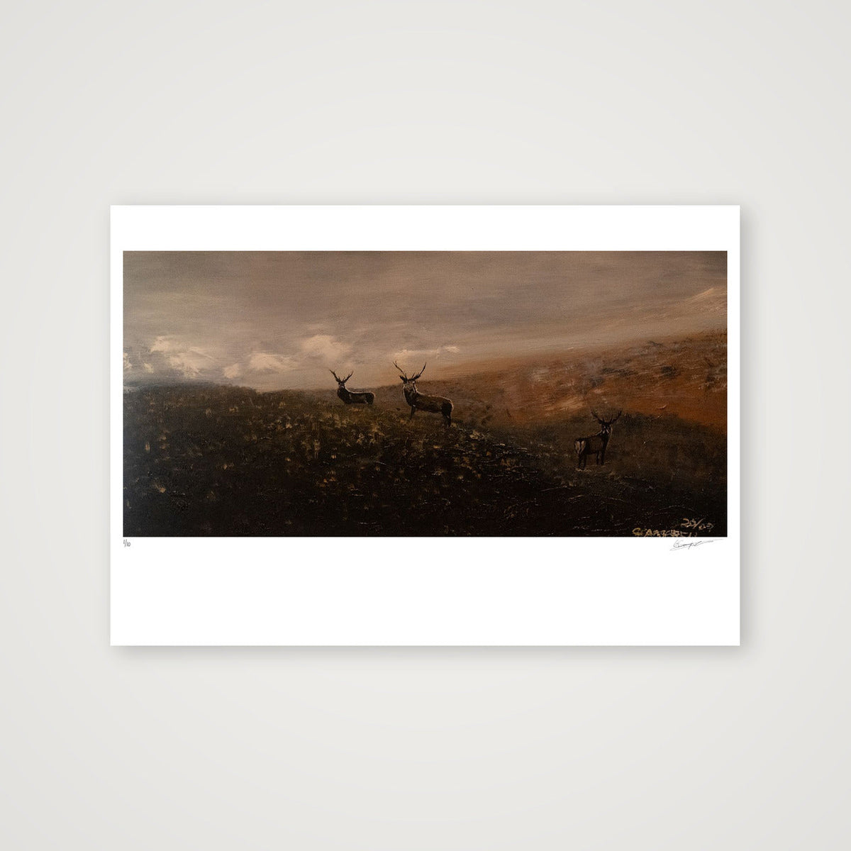 Stags in misty highlands — 100×70cm, 39×28" Print only
