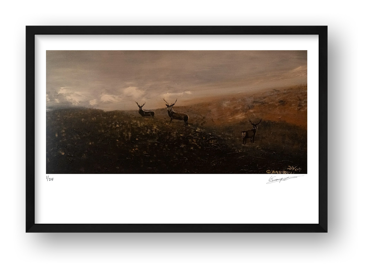 Stags in misty highlands — framed