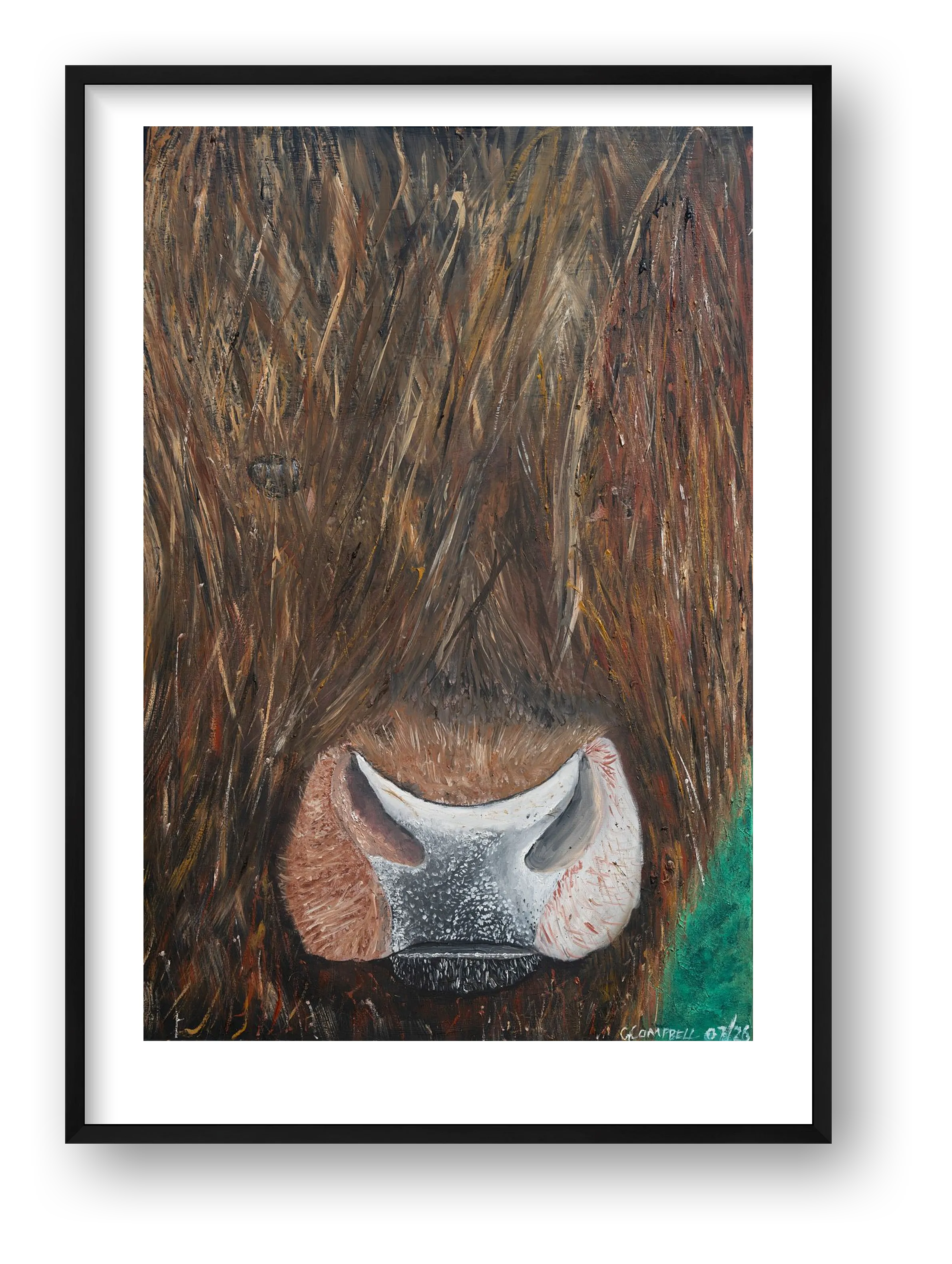 Shaggy Gaze — framed