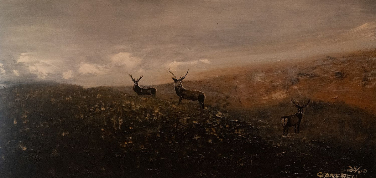 Stags in misty highlands