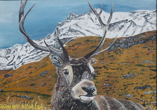 Highland Sentinel